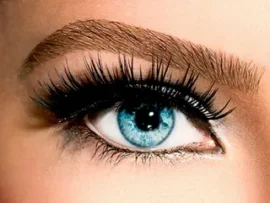 individual eye lashes